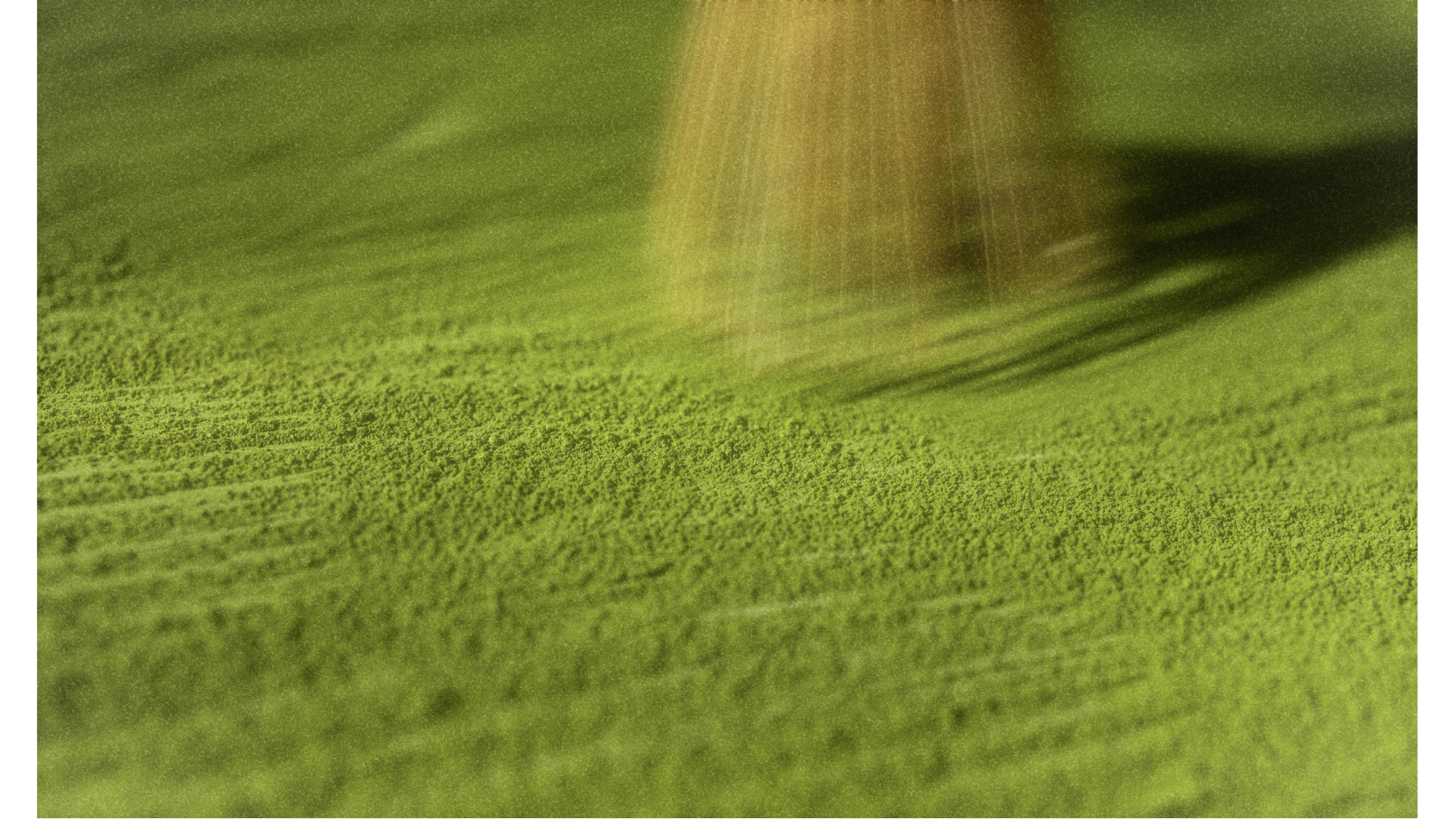 Matcha banner